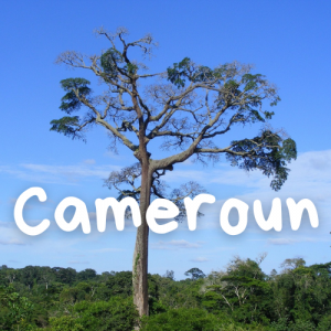 Cameroun