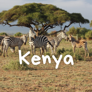 Kenya